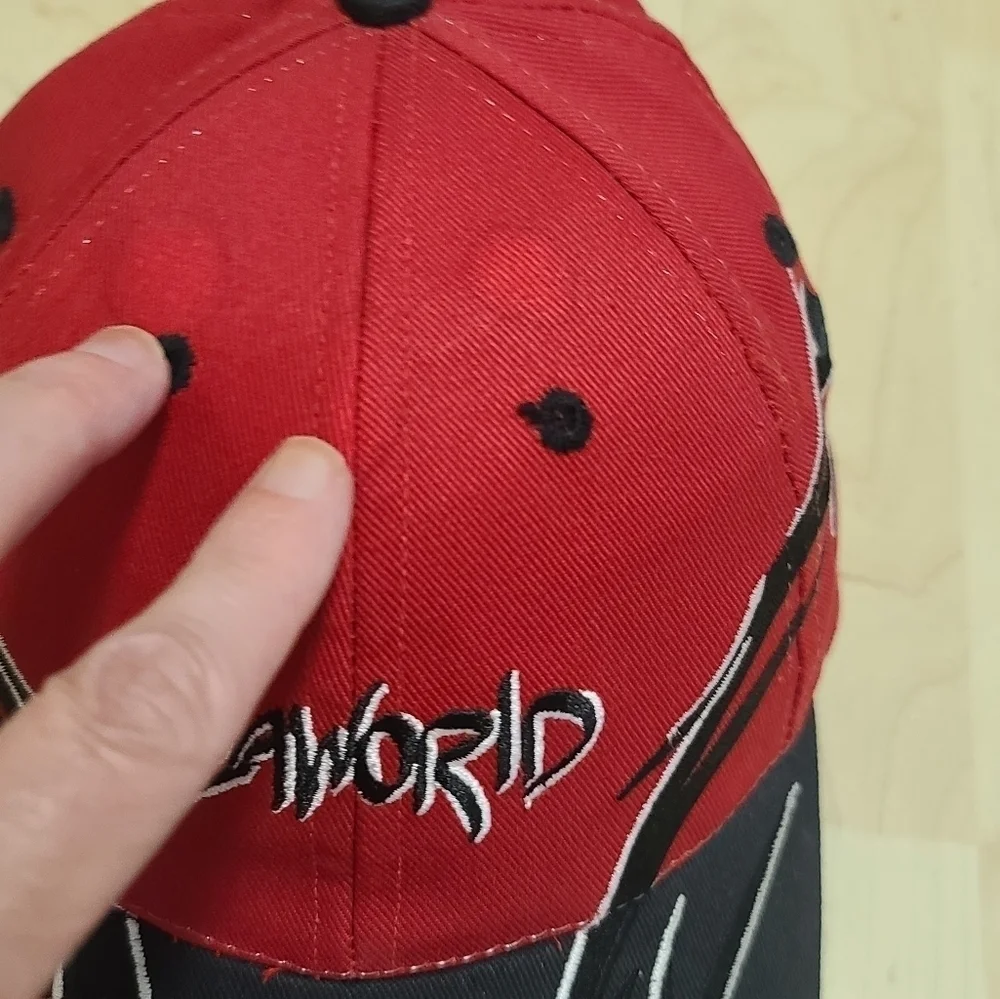 Vintage flames SeaWorld baseball hat